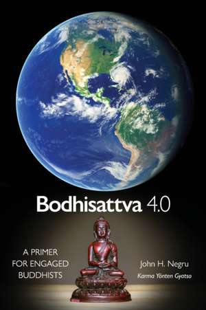 Bodhisattva 4.0 de John H Negru