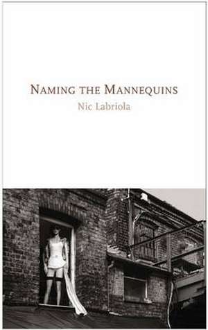 Naming the Mannequins de Nic Labriola