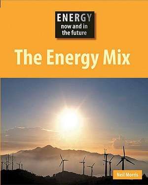 The Energy Mix de Neil Morris