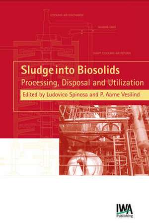 Sludge Into Biosolids de Spinosa