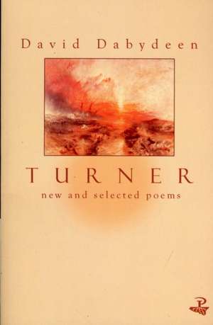 Turner de David Dabydeen