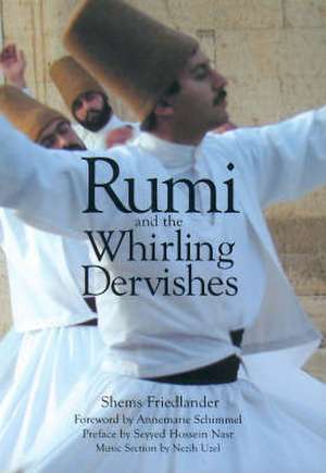 Rumi and the Whirling Dervishes de Shems Friedlander