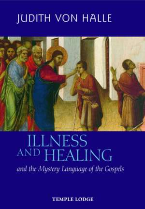 Illness and Healing: And the Mystery Language of the Gospels de Judith Von Halle