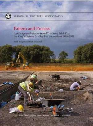 Knight, M: Pattern and Process