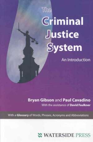 The Criminal Justice System de Bryan Gibson