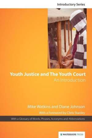 Youth Justice & the Youth Court de Mike Watkins