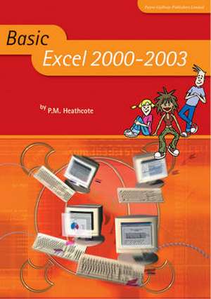 Basic Excel 2000-2003