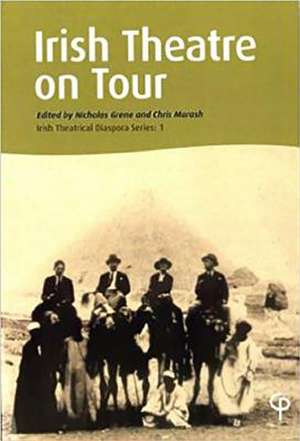 Irish Theatre on Tour de Nicholas Grene