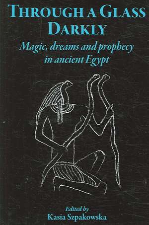 Through a Glass Darkly: Magic, Dreams & Prophecy in Ancient Egypt de John D. Baines