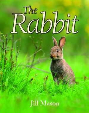 The Rabbit: A British Vet in Africa de Jill Mason