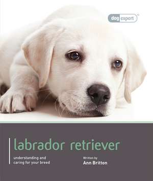 Labrador Retriever de Ann Britton