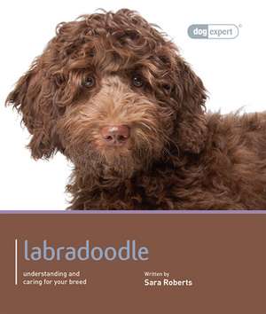 Labradoodle de Sarah Rogers