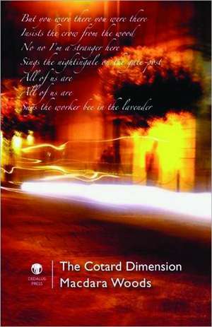 The Cotard Dimension de Macdara Woods