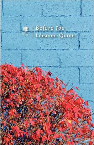 Before You de Leeanne Quinn