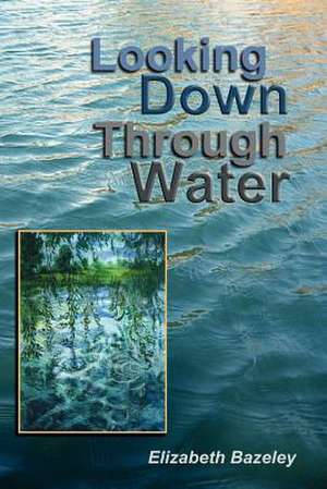 Looking Down Through Water de Elizabeth Bazeley