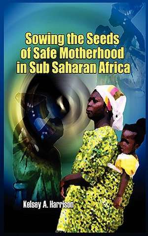 Sowing the Seeds of Safe Motherhood in Sub-Saharan Africa de Kelsey A. Harrison