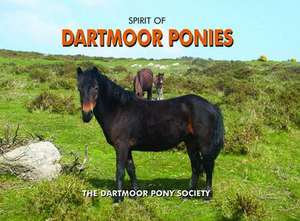 Spirit of Dartmoor Ponies de Dartmoor Pony Society