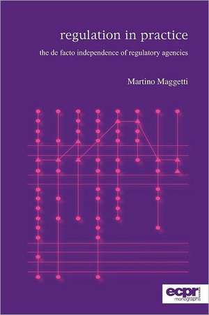 Regulation in Practice de Martino Maggetti