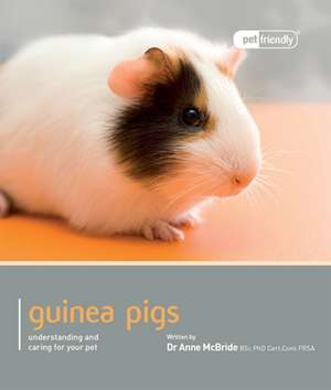 Guinea Pig - Pet Friendly de Anne Mcbride