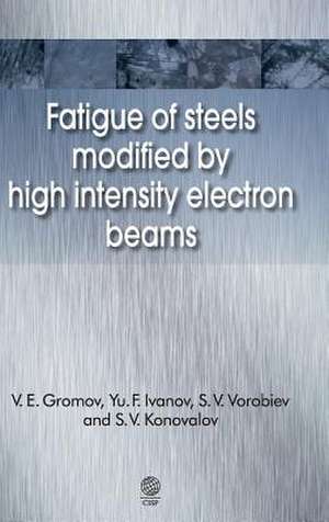 Fatigue of Steels Modified by High Intensity Electron Beams: A Preface to a New Theory of Hardware, Software and the Mind de Viktor Evgen'evich Gromov