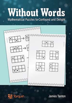 Without Words: Mathematical Puzzles to Confound and Delight de James Tanton