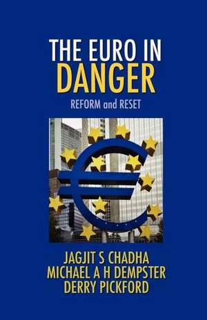 The Euro in Danger de Jagjit S. Chadha