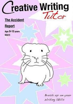 The Accident Report de Sally Jones