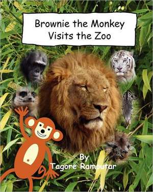 Brownie the Monkey Visits the Zoo: Where in the World Is Rufus T Bear ?