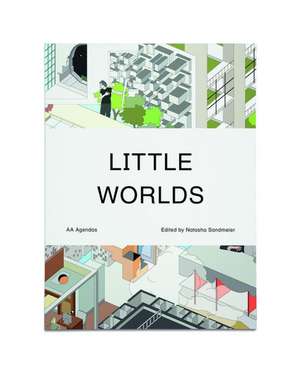 Little Worlds de Natasha Sandmeier