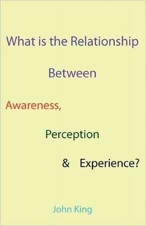 What Is the Relationship Between Awareness, Perception & Experience?: What Is 'What-It-Is-Likeness' & How Many Human Senses Are There? de John King