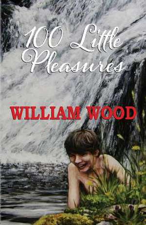 100 Little Pleasures de William Wood