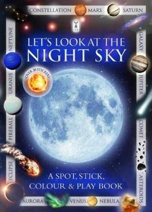 Let's Look at the Night Sky de Andrea Pinnington