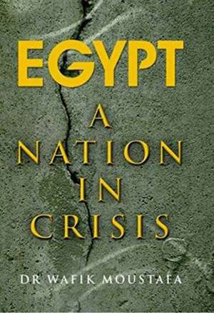 Egypt: A Nation in Crisis de Wafik Moustafa