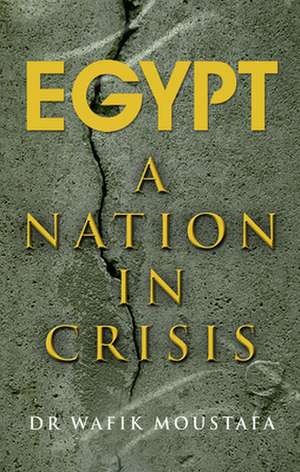 Egypt: A Nation in Crisis de Wafik Moustafa