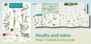 Plant identification for Phase 1 habitat survey: heaths and meres de Hilary Wallace