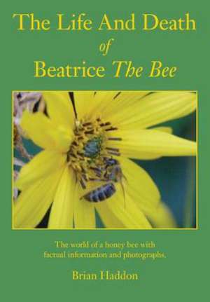 The Life and Death of Beatrice the Bee de Brian Haddon