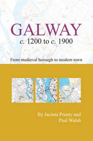 Galway C. 1200 to C. 1900: From Medieval Borough to Modern City de Jacinta Prunty