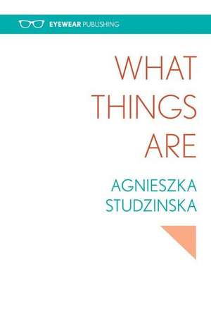 What Things Are: A Novel of Syria de Agnieszka Studzinska