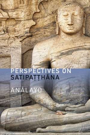 Perspectives on Satipatthana de Analayo