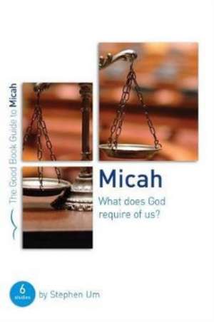 Micah: What Does God Require of Us? de Stephen Um