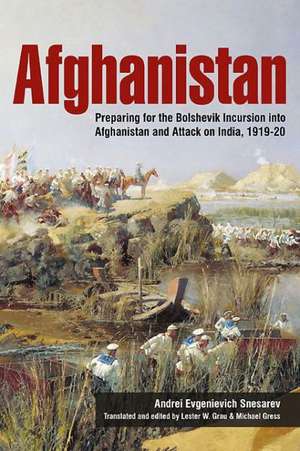 Afghanistan de Andrei Evgenievich Snesarev