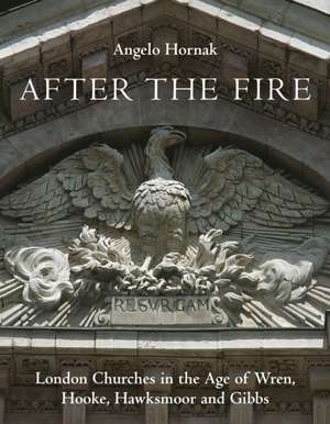 After the Fire de Angelo Hornak