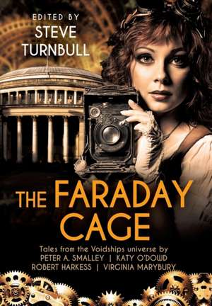 The Faraday Cage de Steve Turnbull