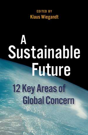 A Sustainable Future: 12 Key Areas of Global Concern de Klaus Wiegandt