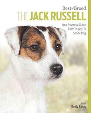 Jack Russell Terrier de Emily Bates