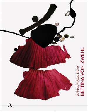 Ashmolean NOW de Lena Fritsch