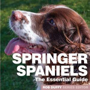 Springer Spaniels de Robert Duffy