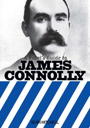 A Rebel's Guide to James Connolly de Sean Mitchell