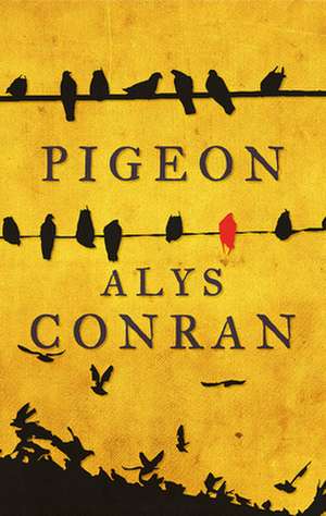 Pigeon de Alys Conran