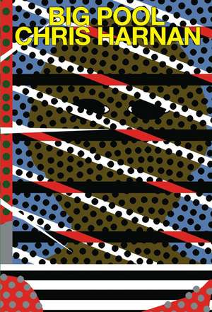 Big Pool de Chris Harnan